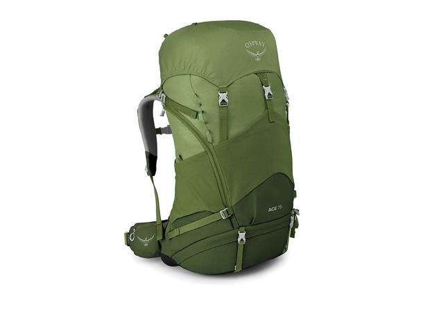 Ace 75 Venture Green 