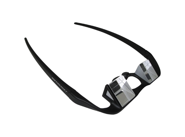 Upshot belay glasses Purple 