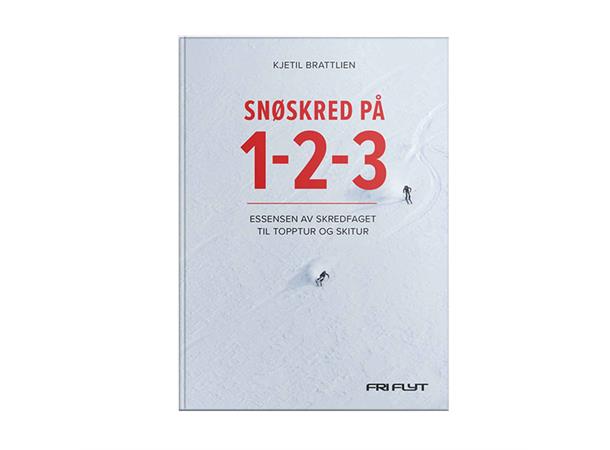 Snøskred på 1-2-3 Fri Flyt 