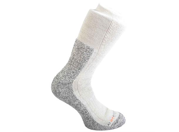 MTN Toester Sock L 