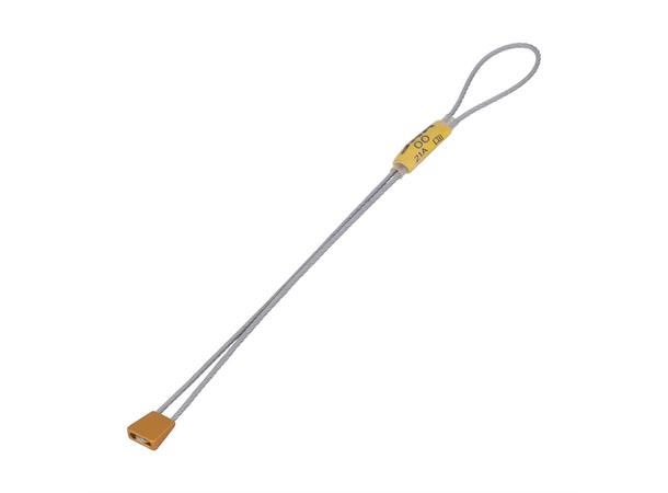 Micro Wallnut Size 00 Gold 