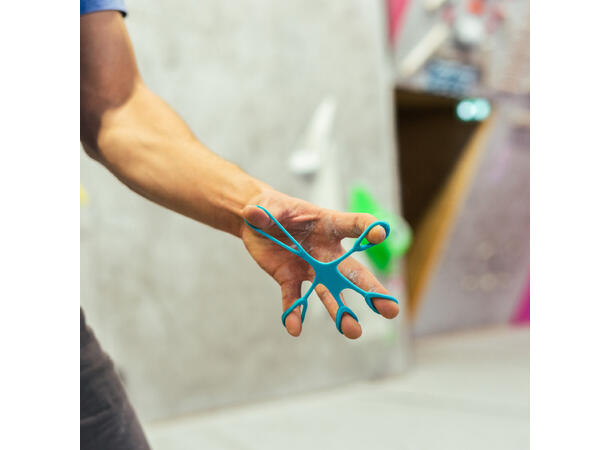 Y&Y ALIEN Blue Medium 