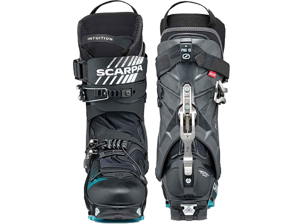 F1 XT Carbon-Azure 250 