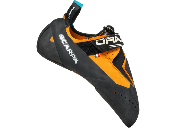 Drago Ltd Edit Bright Orange 36 