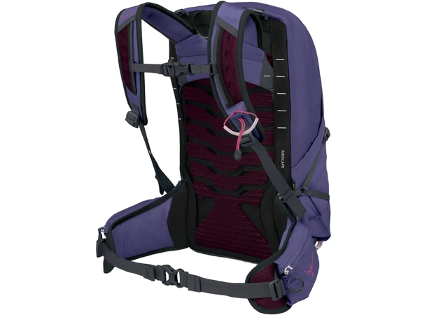 Tempest 11 Deep Fig Hotspot Pink 