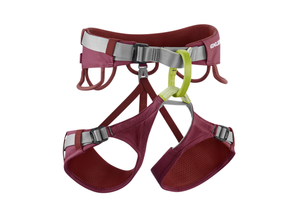 Jayne IV Rhubarb red L 