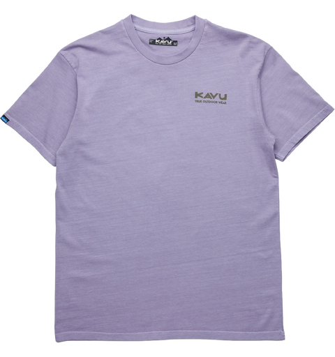 Salmon T