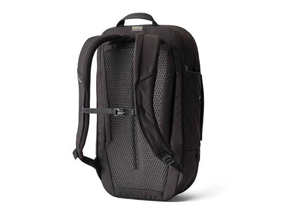 Border 30 Black Lichen 