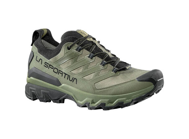 Ultra Raptor 3 GTX Hikingsko Cypress/Black 43 